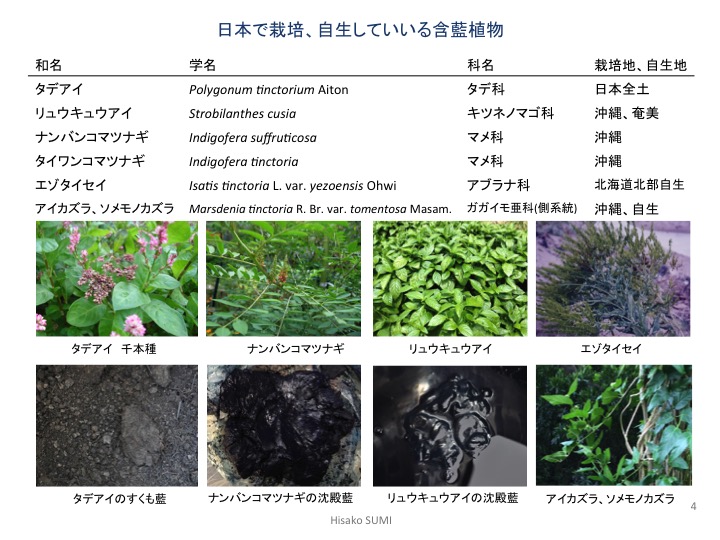 日本に自生、栽培されている藍植物一覧 Indigo plants in Japan | EarthNetwork